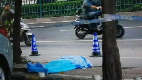 南宁电动车爆料事件视频,揭露背后真相与争议